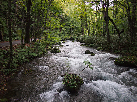 P9297776-stream-and-road