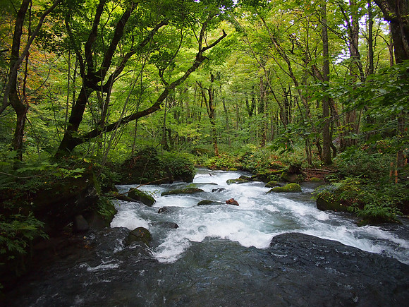 P9297777-stream
