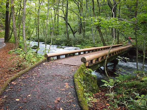 P9297780-stream-bridge