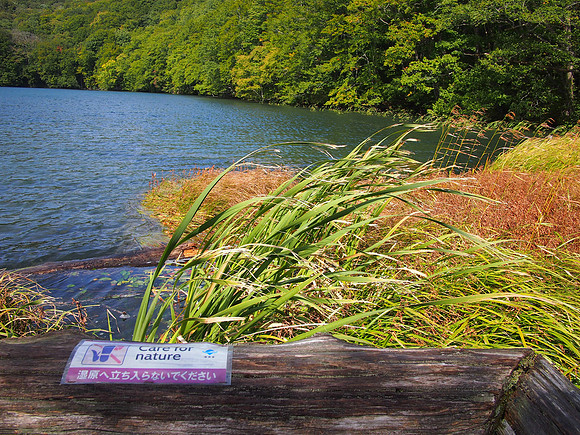 P9307867-care-for-nature