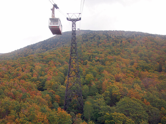 P9307890-autumnal-ropeway