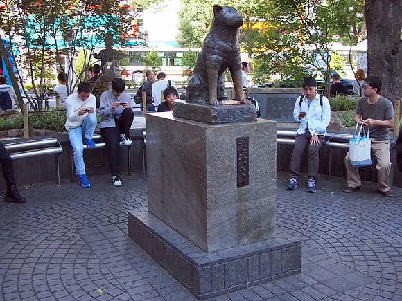 PA018011-shibuya-dog