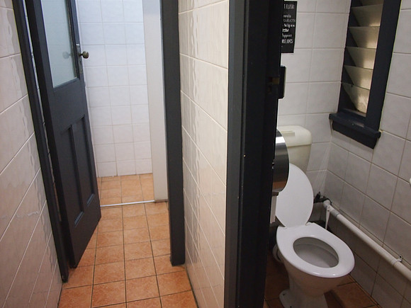 PA038121-downing-toilet
