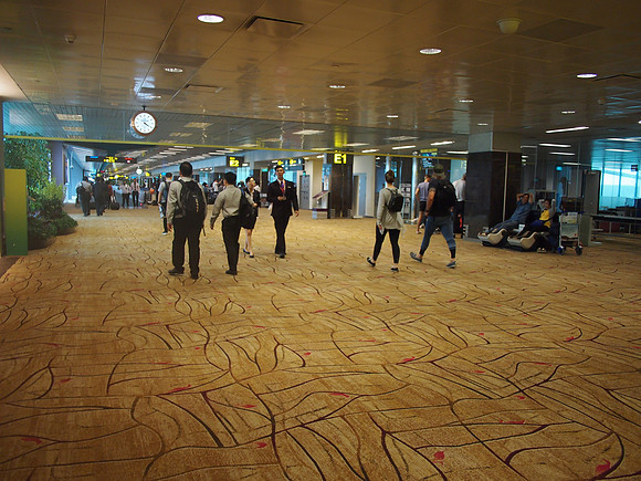 P9177273-t2-walk