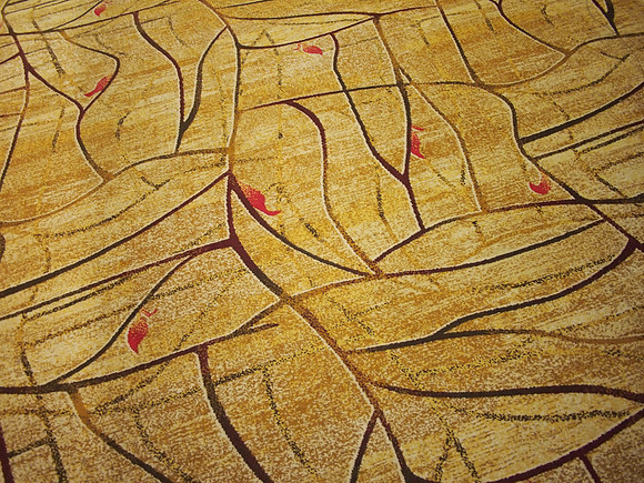 P9247335-t2-carpet