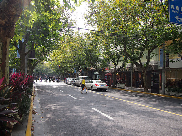 PA218420-leafy-streets