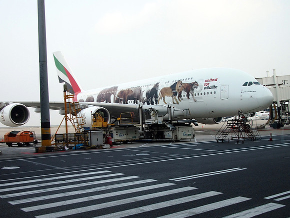 PA228450-emirates