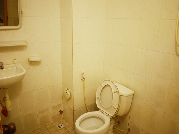 PC279168-tt-toilet