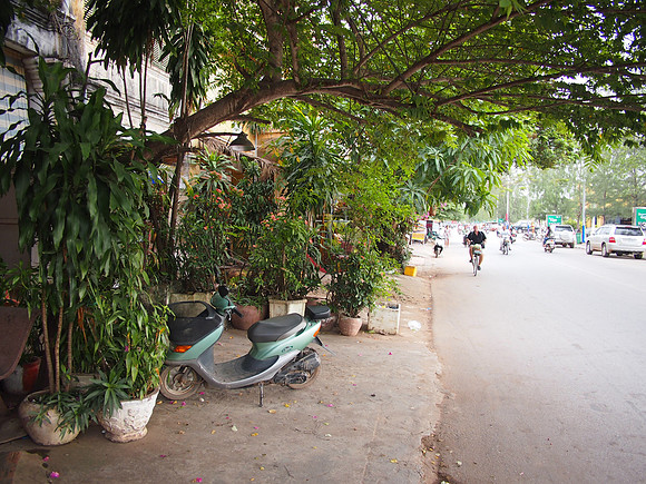 P1039694-green-kampot