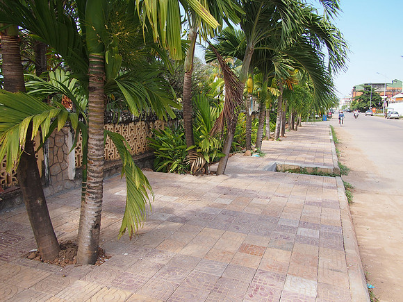 P1049719-tropical-street