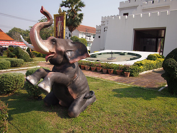 P2070095-kneeling-elephant