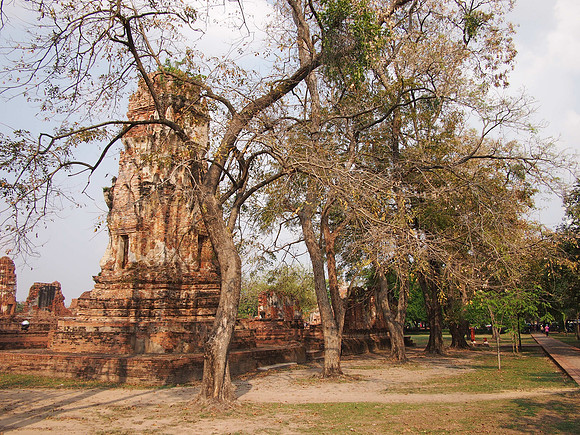 P2090331-wat-nok