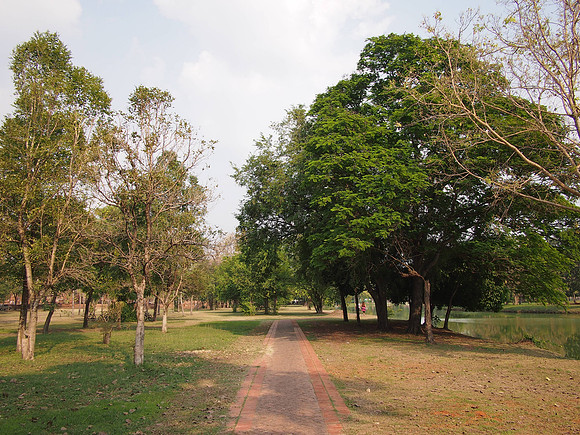 P2090332-park