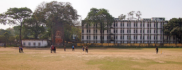 P2150640-cricket