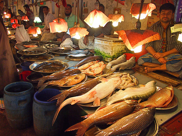 P2150644-fish-market