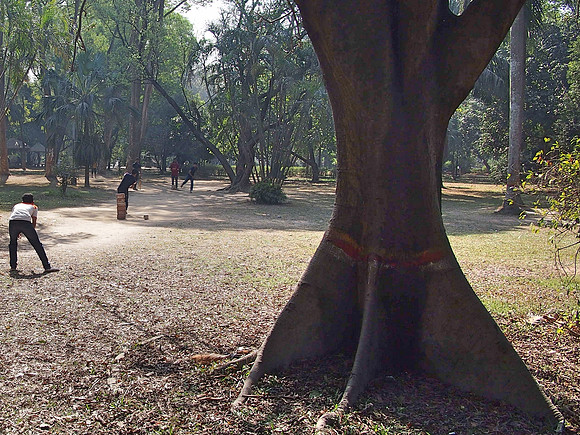 P2160809-ramna-park-cricket
