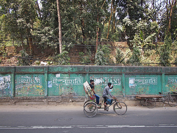 P2191117-green-wall