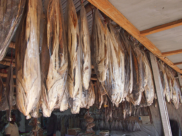 P2221266-dried-fish