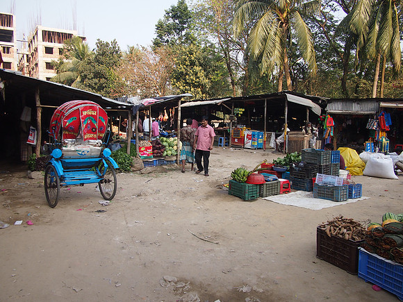 P2221304-market