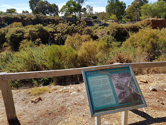 20180407_120016-the-sluicing-paddock