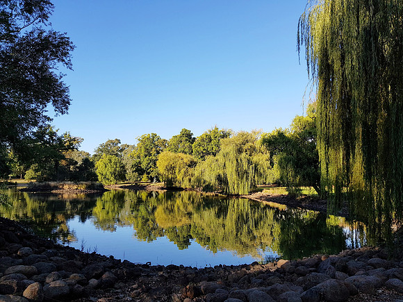 20180407_163548-lake-joanna