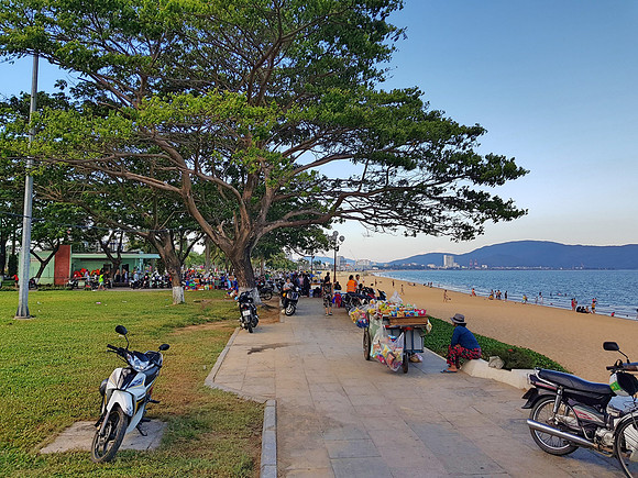 20180515_163403-beach-tree