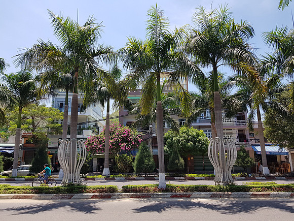 20180516_122355-street-trees