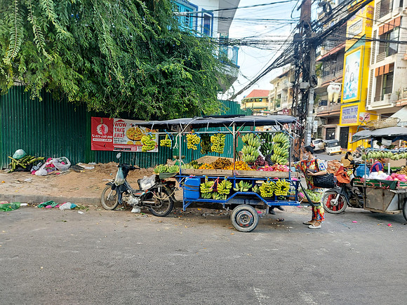 20220101_165834-banana-cart