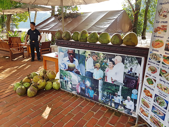 20180530_171537-obama-coconuts