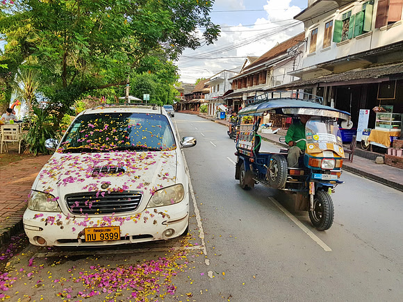 20180530_171913-flowers-on-car