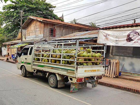 20180604_080156-coconut-truck