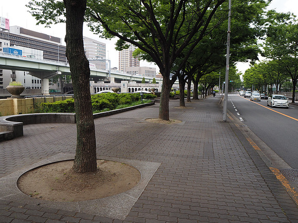 P6280034-street-trees