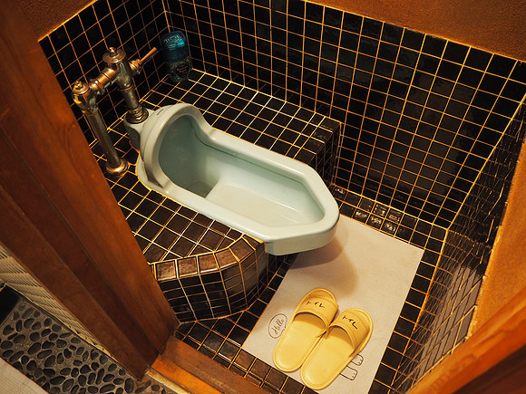P6290095-yoshis-toilet