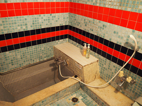 P6290096-yoshis-bathroom