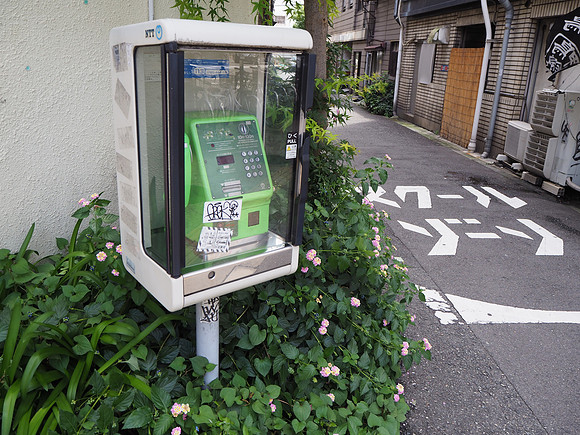 P6300036-phone-box