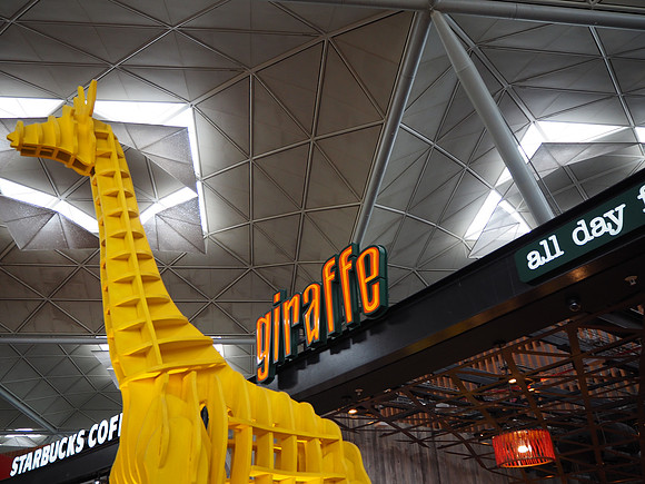P7240078-giraffe