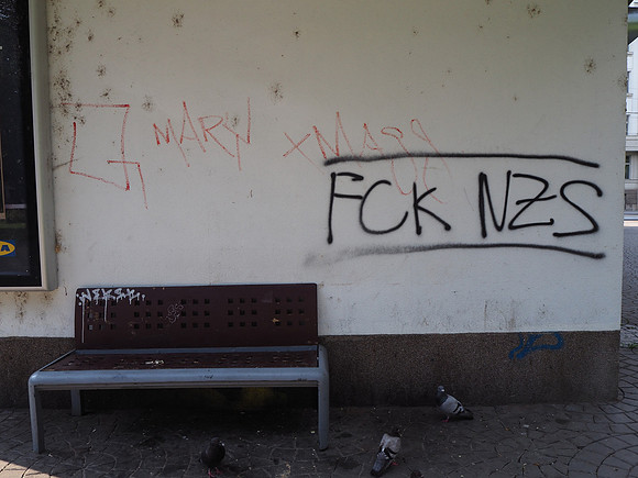 P7290131-fck-nzs