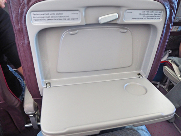 P8020026-tray-table