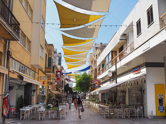 P8060066-street-shade