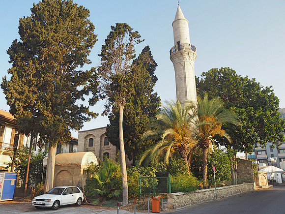 P8030004-mosque
