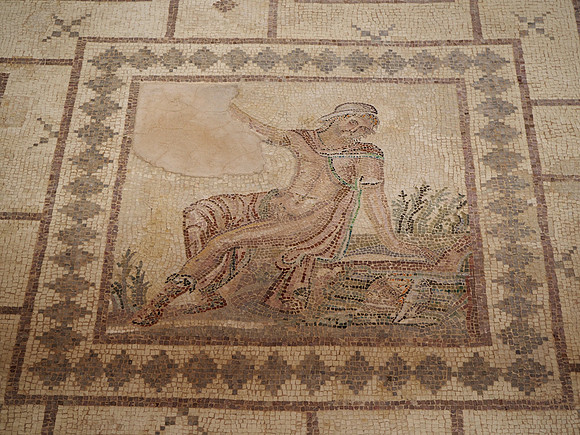 P8030040-narcissus-mosaic