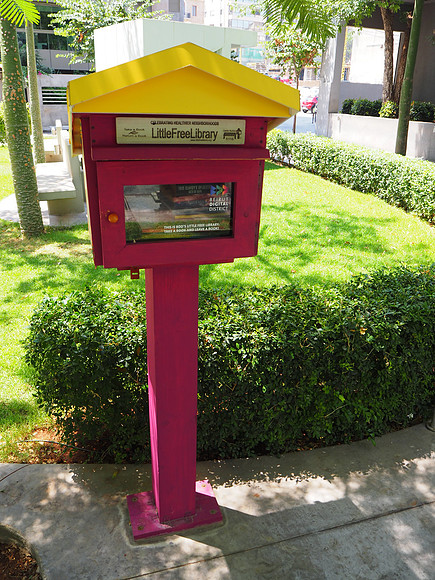 P8090014-little-free-library