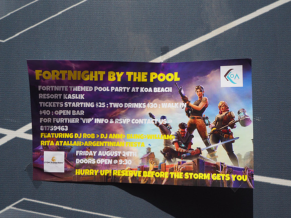 P8090037-fortnight-by-the-pool