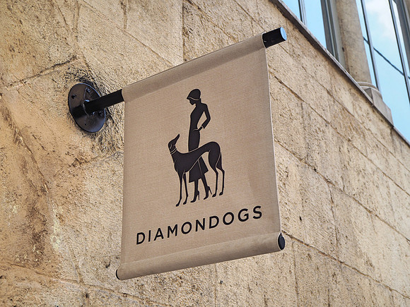 P8100039-diamondogs