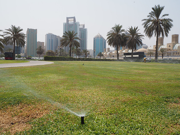 P8120027-sprinkler