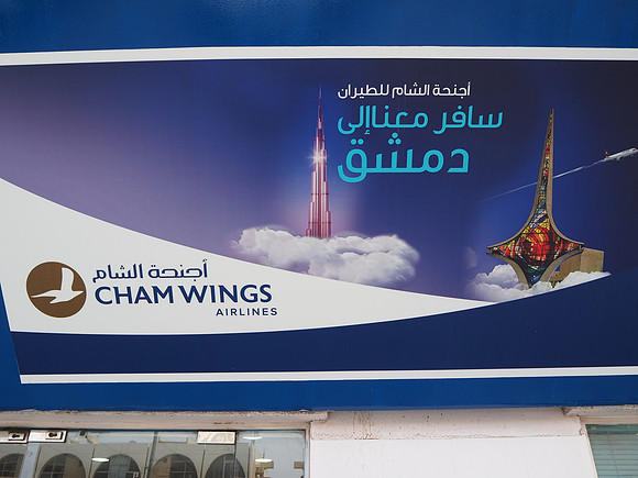 P8120033-cham-wings