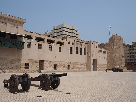 P8120053-fort