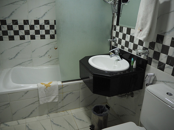 P8120071-hotel-bathroom
