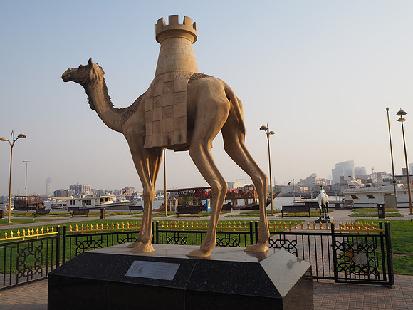 P8120101-chess-camel