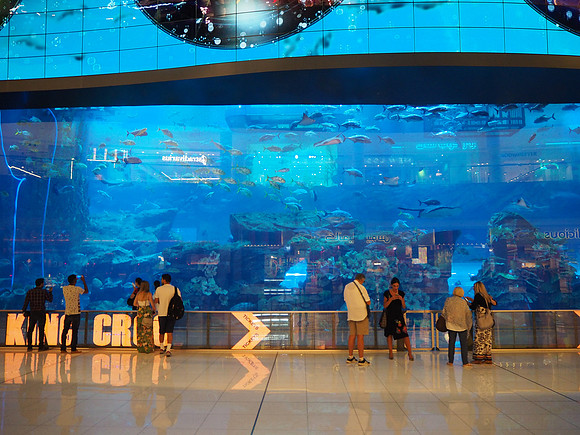 P8130023-dubai-mall-aquarium